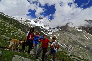 Al Rif. Ponti (2559 m), il rifugio del Disgrazia, dalla Valle di Preda Rossa il 23 giugno 2015 - FOTOGALLERY